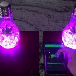 Distance Lamps light up in a purple hue